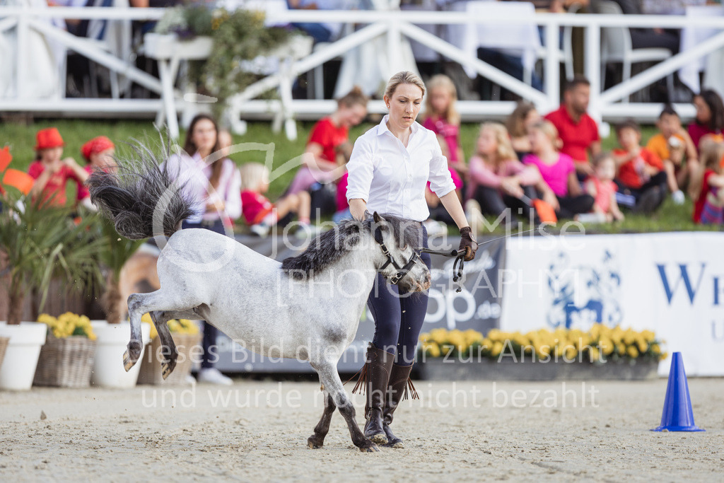 230728_BHO_Showprogramm-523 | Deine schönsten Turniermomente als professionelle Fotos! Entdecke hochwertige Pferdesport-Fotografie im Online-Shop. Jetzt Fotos finden & bestellen!