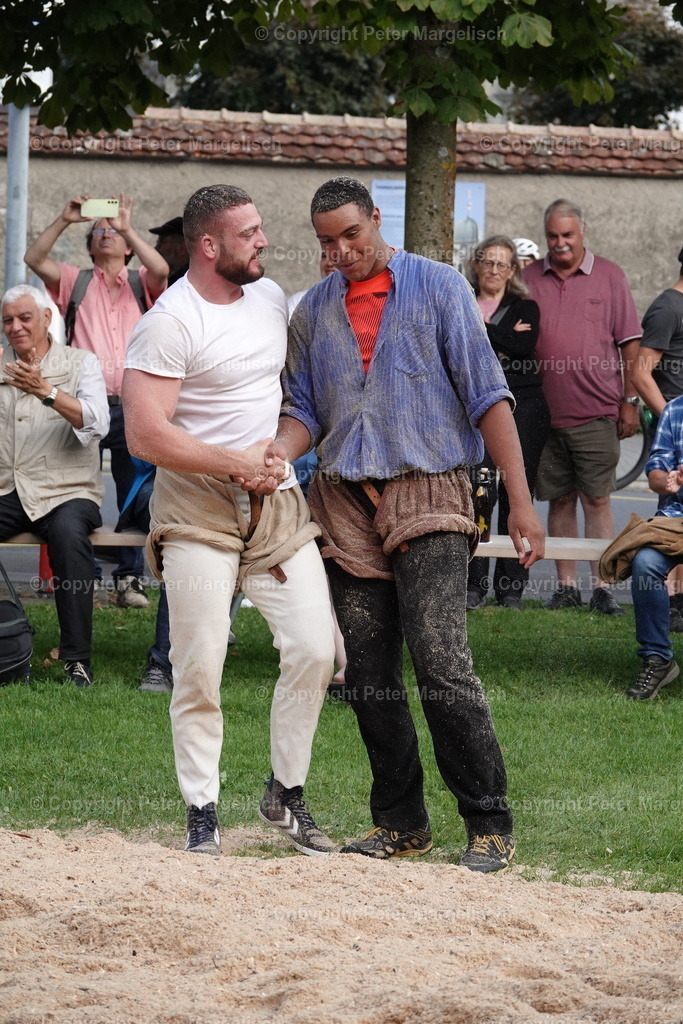 DSC01469 | Schwingen - Realisiert mit Pictrs.com