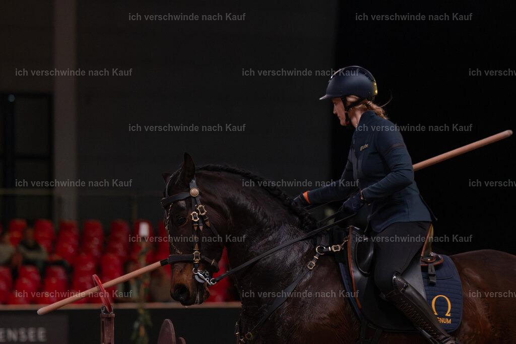 JoseraCup-88 | working equitationturnier fotograf videograf stoibphotography marixx film working equitation deutschland reitsport turnierfotografie eventfotografie equestrian events