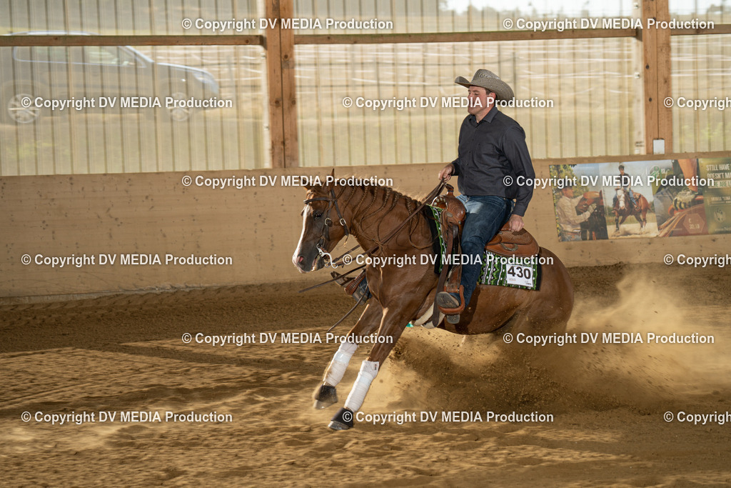 LAU01965 | dv-media-shop - Realisiert mit Pictrs.com