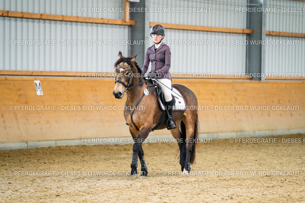 DSC00597 | Pferdegrafie