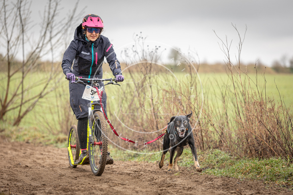 DV3A9332 | Hundefotografie, Tierfotograf, Pfotenfotografie, Fotoshooting Hund, Hunde Portrait, Hundesport, Hundeportraits, Heideshooting, Hunde, Sportfotograf, Hundefotograf, Turnierhundsport, THS,  - Realisiert mit Pictrs.com