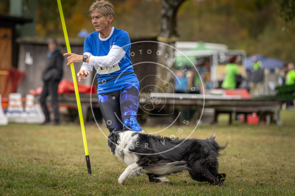 Pfotenfotografie_DV3A5527 | Hundefotografie, Tierfotograf, Pfotenfotografie, Fotoshooting Hund, Hunde Portrait, Hundesport, Hundeportraits, Heideshooting, Hunde, Sportfotograf, Hundefotograf, Turnierhundsport, THS,  - Realisiert mit Pictrs.com