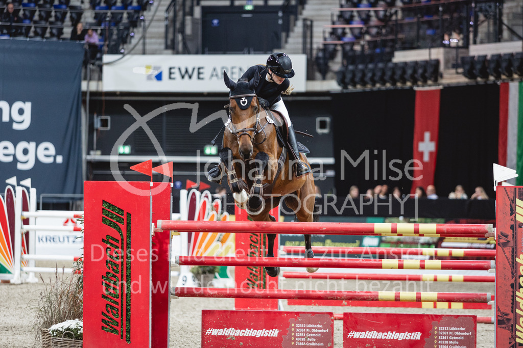 231028_Oldenburg_S1-Spr_Amateure-165 | Deine schönsten Turniermomente als professionelle Fotos! Entdecke hochwertige Pferdesport-Fotografie im Online-Shop. Jetzt Fotos finden & bestellen!