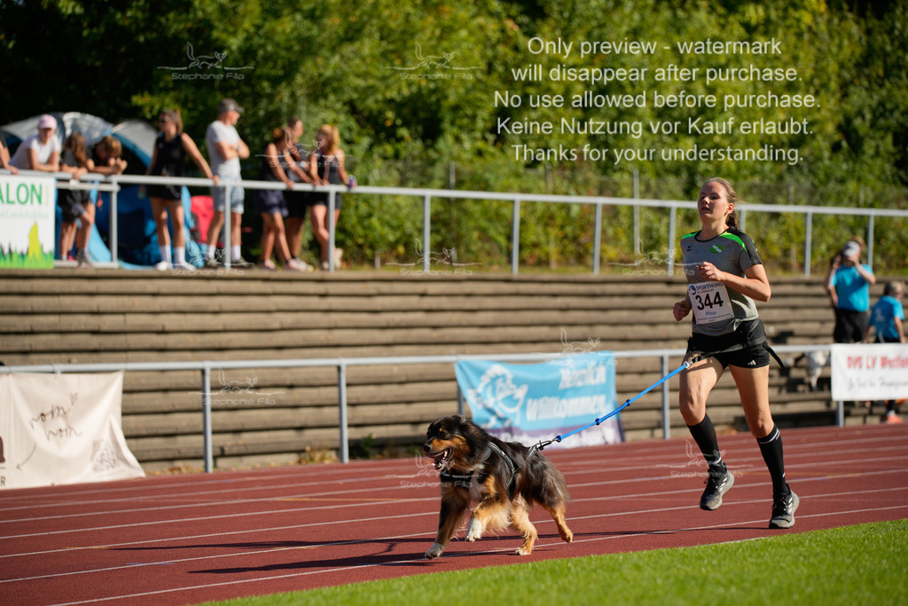 Sonntag_Staffel (68 von 336) | stephaniefillaphotographie - Realisiert mit Pictrs.com