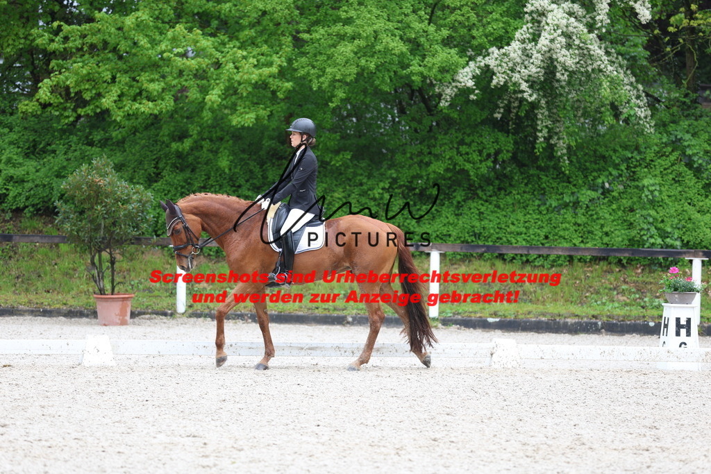 A40A9539 | lmwpictures - Realisiert mit Pictrs.com