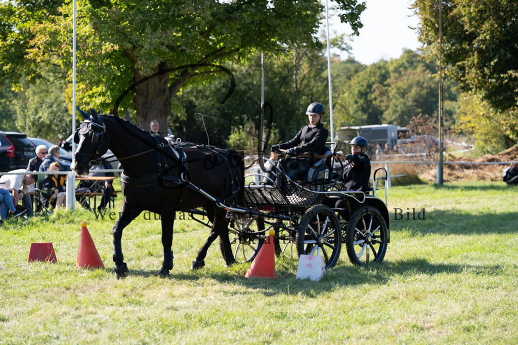 A7V04359 | Pferdefotograf