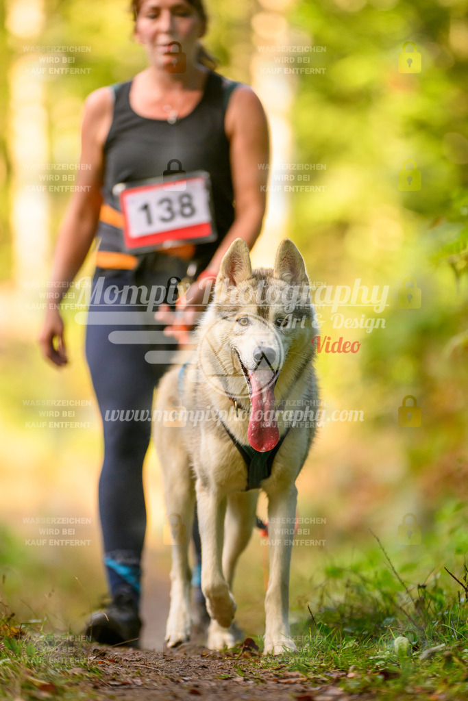 MompixPhotography_Yens2025_B4-27 | PayLife