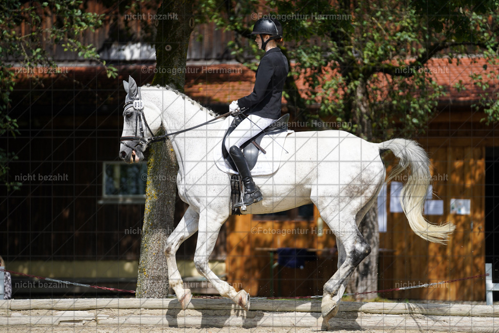 20230826-FAH05383 | Forstinning, 2023, Dressurturnier, Turniersportbilder, Turnierfotografen Bayern, Fotoagentur Herrmann, Reitsportfotografie, Turnierbilder