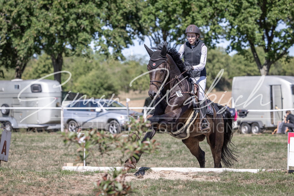 20260906-_3LI3167 | Tierfotografie Pferde, Hunde, Katzen, Haustiere.
Turnierfotografie Reitturniere, Reiten, Springreiten, Dressur in Hanau, dem Main-Kinzig-Kreis und dem Rhein-Main- Gebiet um Frankfurt