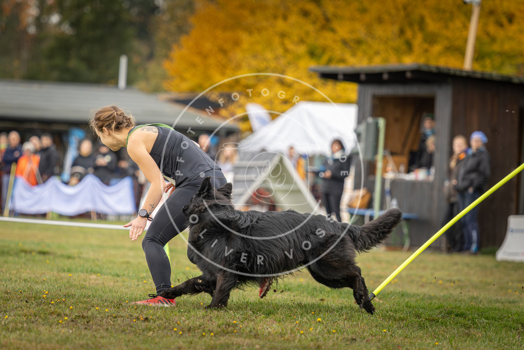 Pfotenfotografie_DV3A2976 | Hundefotografie, Tierfotograf, Pfotenfotografie, Fotoshooting Hund, Hunde Portrait, Hundesport, Hundeportraits, Heideshooting, Hunde, Sportfotograf, Hundefotograf, Turnierhundsport, THS,  - Realisiert mit Pictrs.com