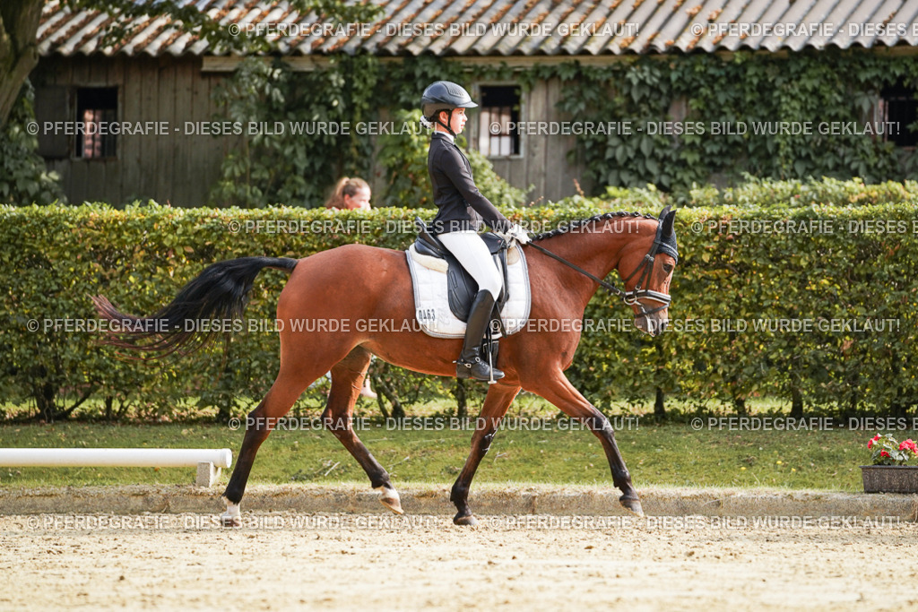 DSC05166 | Pferdegrafie