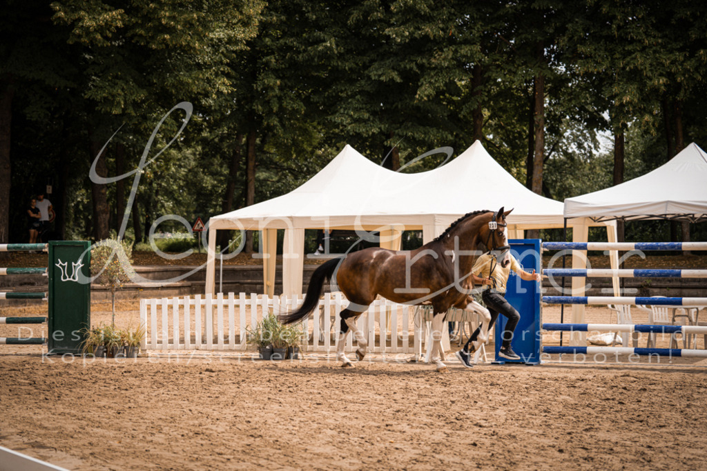 3.Fr00179 | Leoni Ertmer Photography - Realisiert mit Pictrs.com