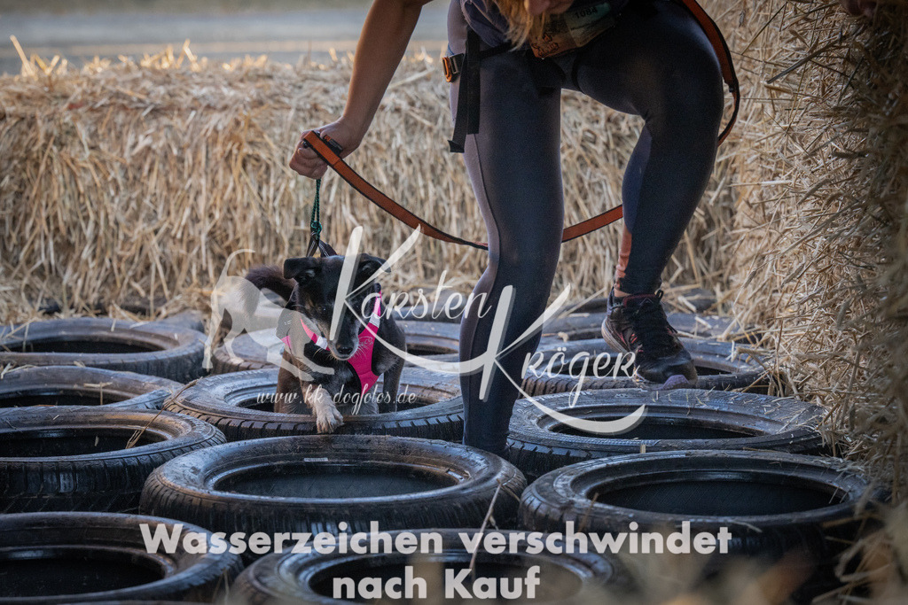 0930_ZZ93270 | kk-dogfotos