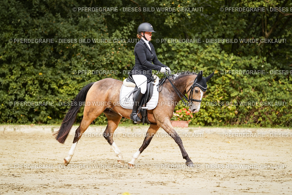 DSC02662 | Pferdegrafie