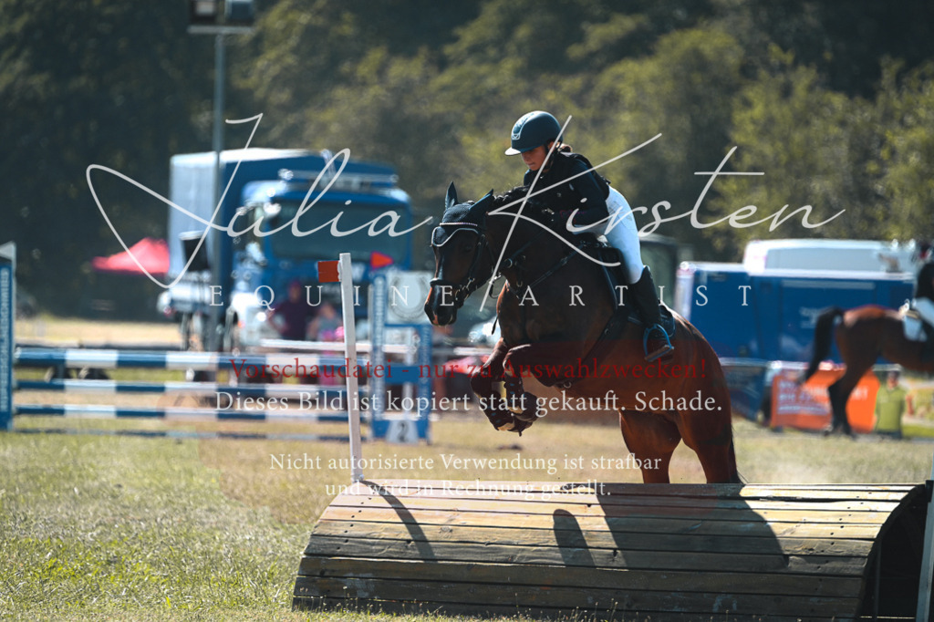 DSC_8367-2 | Pferde- und Turnierfotografie in Westsachsen. Pferdeportraits, Auftragszeichnungen und intuitive Kunst.