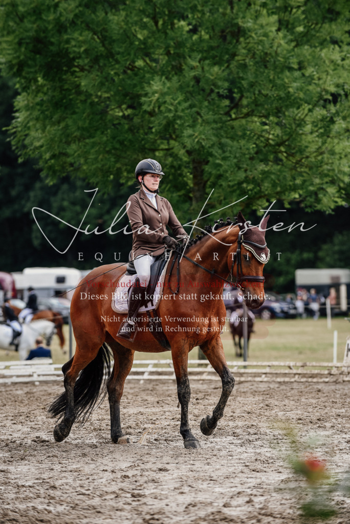 DSC_9552 | Pferde- und Turnierfotografie in Westsachsen. Pferdeportraits, Auftragszeichnungen und intuitive Kunst.