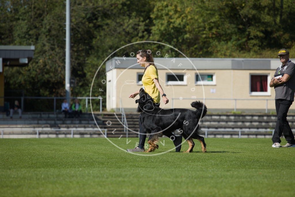 0L8A2521 | Hundefotografie, Tierfotograf, Pfotenfotografie, Fotoshooting Hund, Hunde Portrait, Hundesport, Hundeportraits, Heideshooting, Hunde, Sportfotograf, Hundefotograf, Turnierhundsport, THS,  - Realisiert mit Pictrs.com