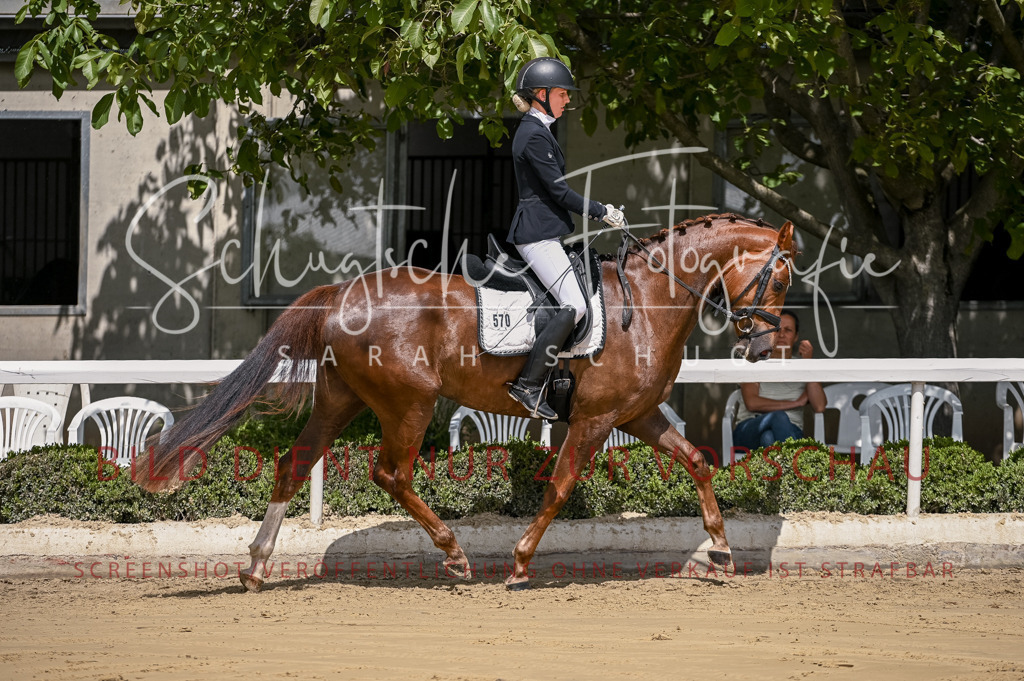 Schugtsche-Aluta25-48.Reitpferfdeprf.-83 | Schugtsche Fotografie - Realisiert mit Pictrs.com