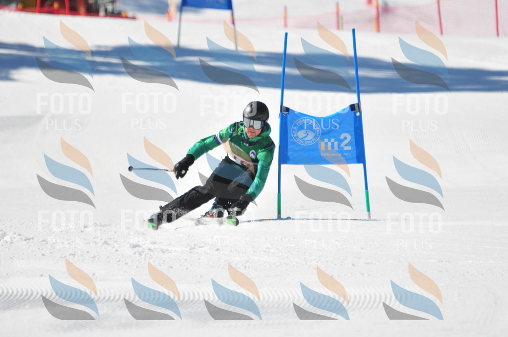 C4301 | holidayphoto