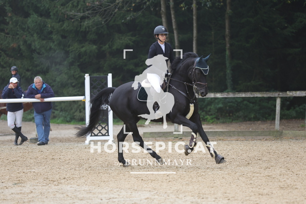 0P6A0860 | Willkommen bei Brunnmayr - Design & Fotografie – Ihrem Spezialisten für Reitturniere und Pferdeveranstaltungen in Oberösterreich, Salzburg und Bayern! Seit über 17 Jahren sind wir leidenschaftlich dabei.