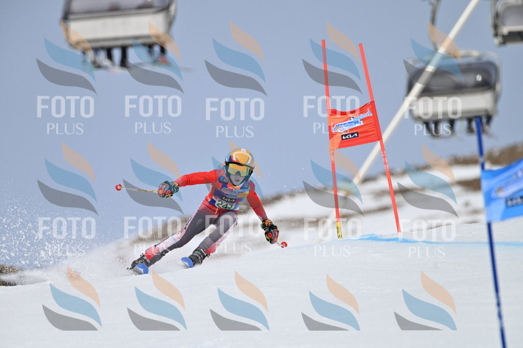 BGV_4805 | holidayphoto