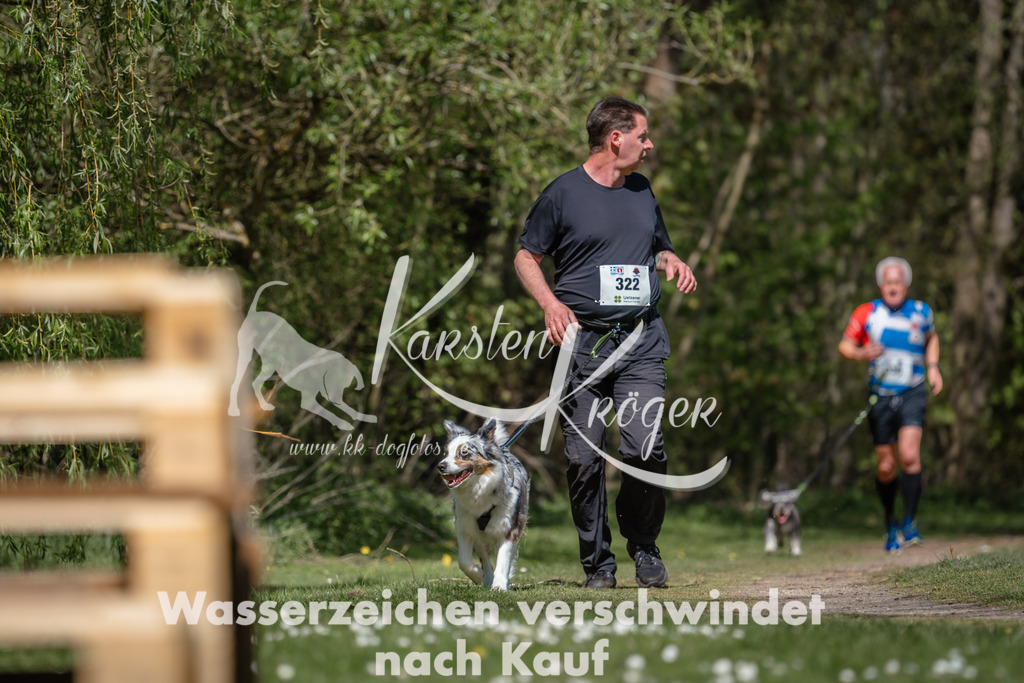 1233DZ6_4865 | kk-dogfotos