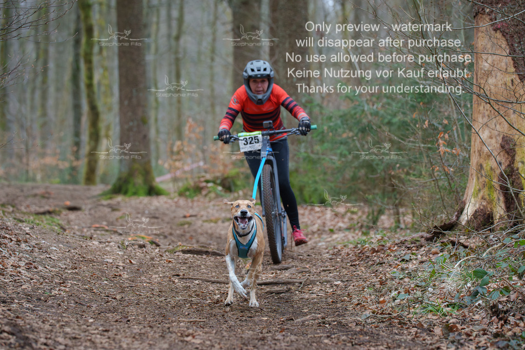 Scooter_So-53 | stephaniefillaphotographie - Realisiert mit Pictrs.com