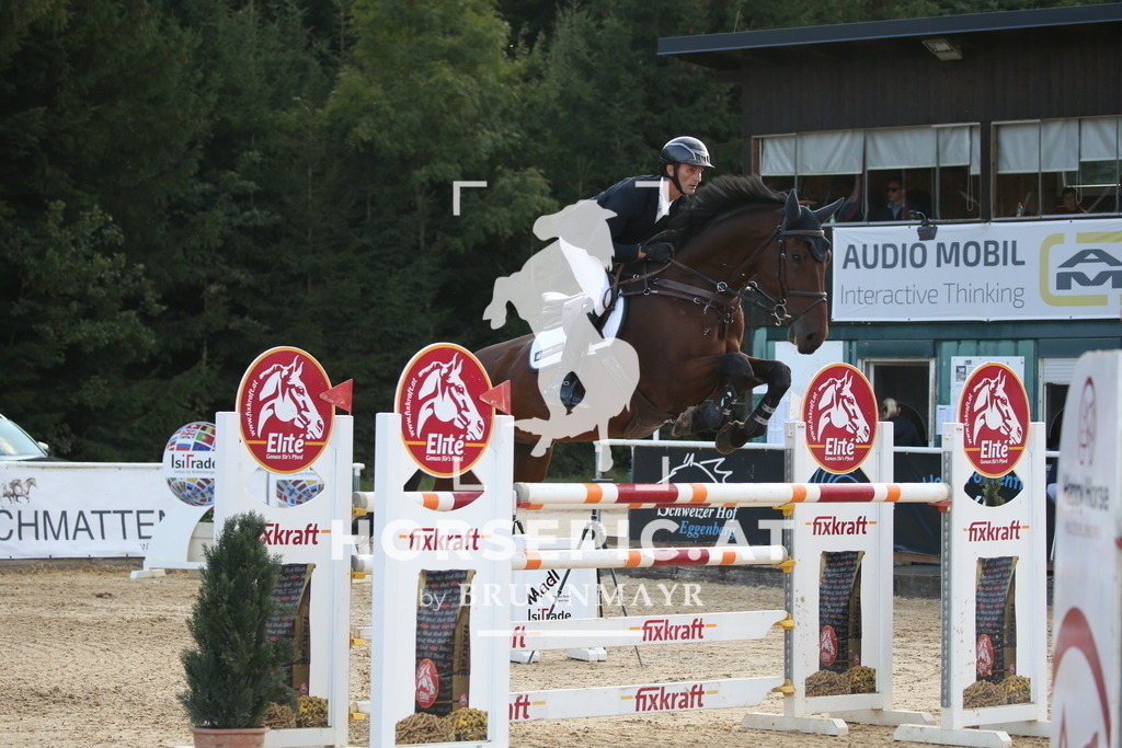 DL2Q6345 | Willkommen bei Brunnmayr - Design & Fotografie – Ihrem Spezialisten für Reitturniere und Pferdeveranstaltungen in Oberösterreich, Salzburg und Bayern! Seit über 17 Jahren sind wir leidenschaftlich dabei.