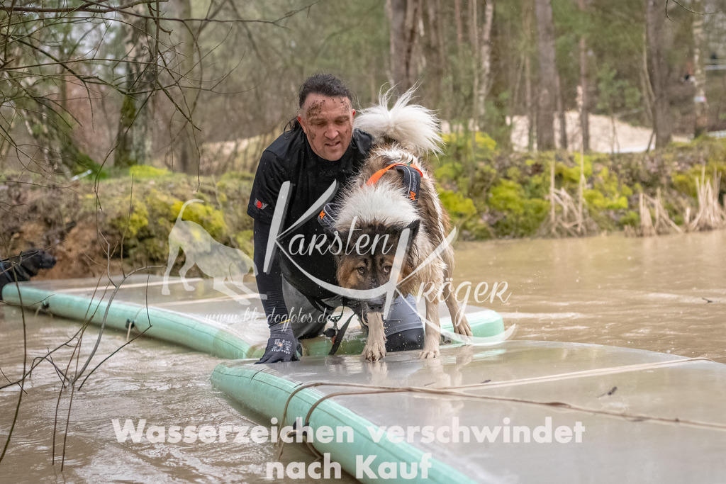 1056_ZZ93810-Bearbeitet | kk-dogfotos