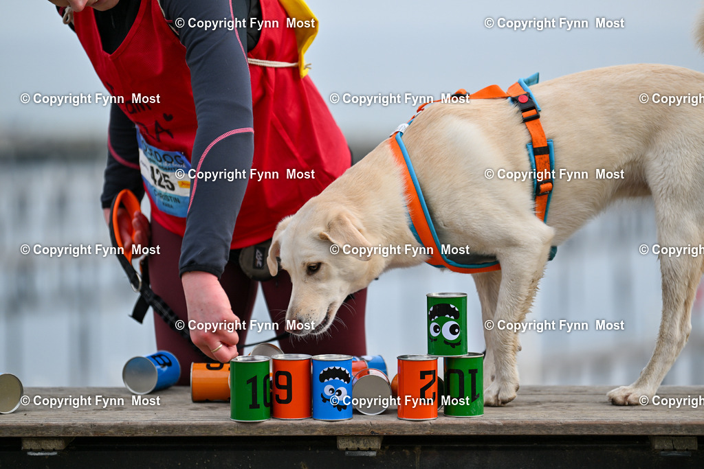 DSC_4353 | Hallo und herzlich Willkommen auf meiner Shop-Seite Fynn Most.

Ich wünsche Dir viel Spaß beim stöbern durch die Bilder, wenn Du Fragen hast oder Bilder vermisst, kannst du mir gerne eine Nachricht schreiben. - Realisiert mit Pictrs.com