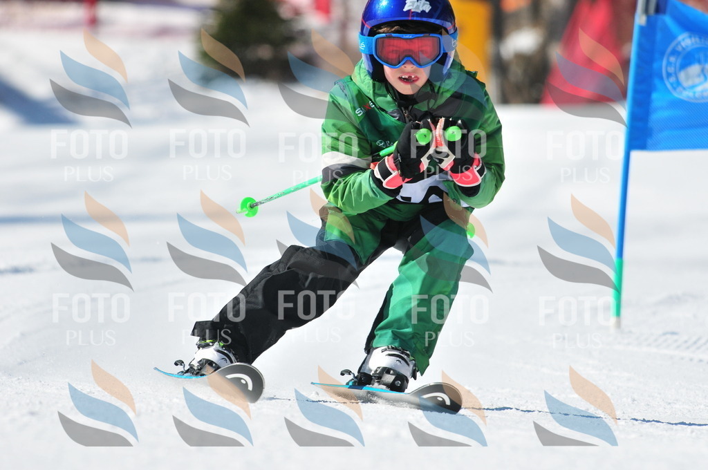 C2192 | holidayphoto