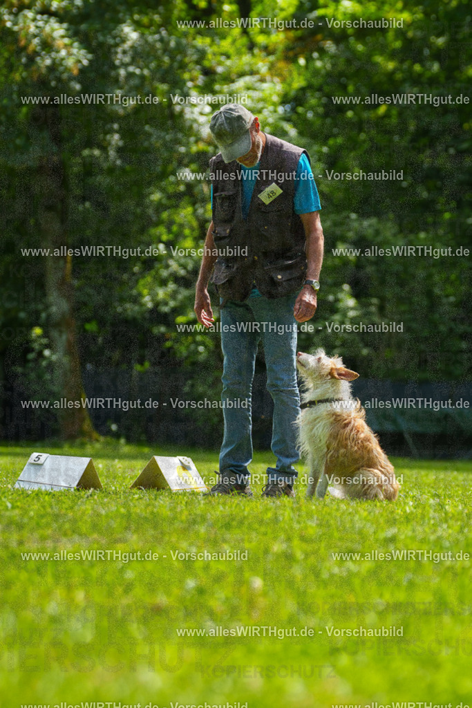 @allesWIRTHgut_Tierfotografie - www.allesWIRTHgut.de - 7R505541 | Professionelle Tierfotografie in Mönchengladbach von Daniel Wirth (allesWIRTHgut). Liebevolle & natürliche Bilder von Hunden & Katzen für unvergessliche Erinnerungen.