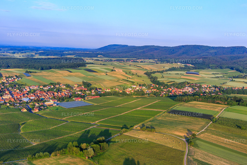 Aerial view: View of the town from the northeast in Steinseltz in the state Bas-Rhin, France.Photo: IMG_100661.jpg taken on 06/02/2017 by Werner Riehm/FLY-FOTO.comResolution of the original: 5472 x 3648 px