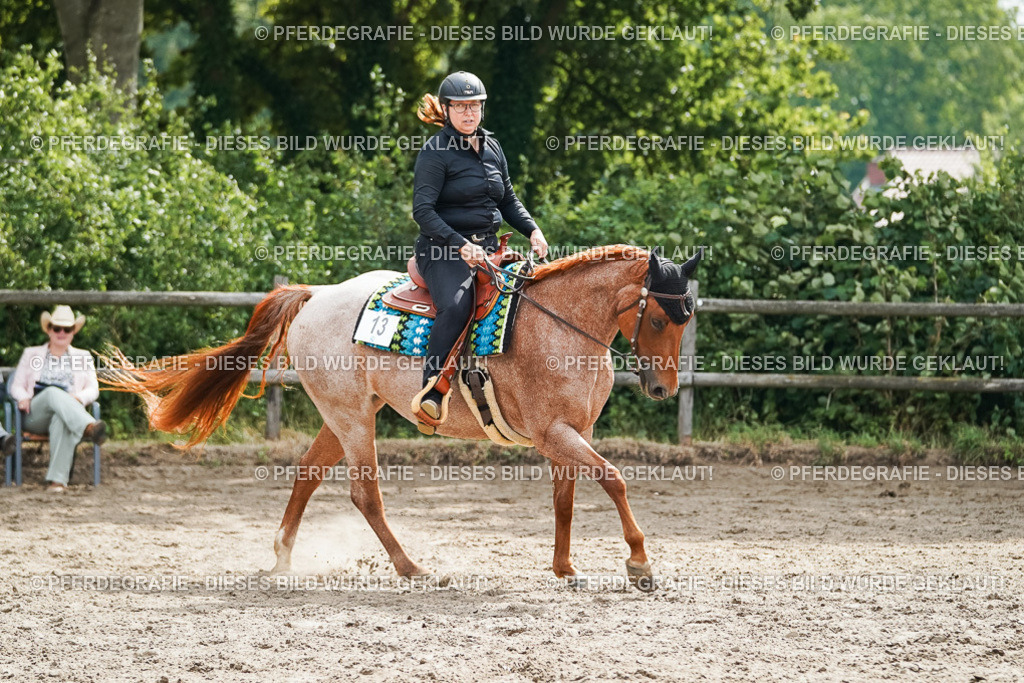 DSC04323 | Pferdegrafie