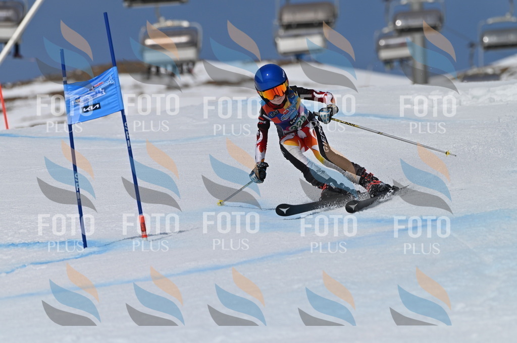 BGV_6430 | holidayphoto