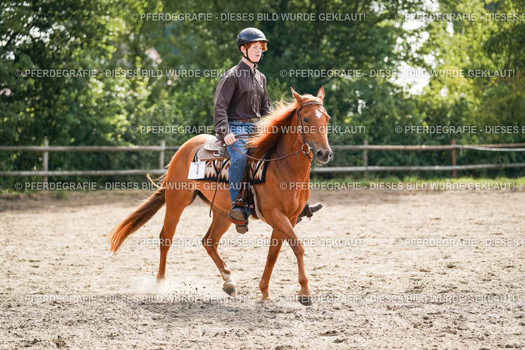 DSC04829 | Pferdegrafie