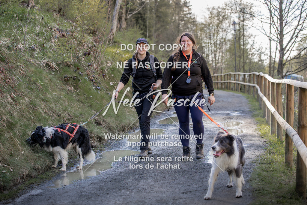 NR__1075 | nelerasche