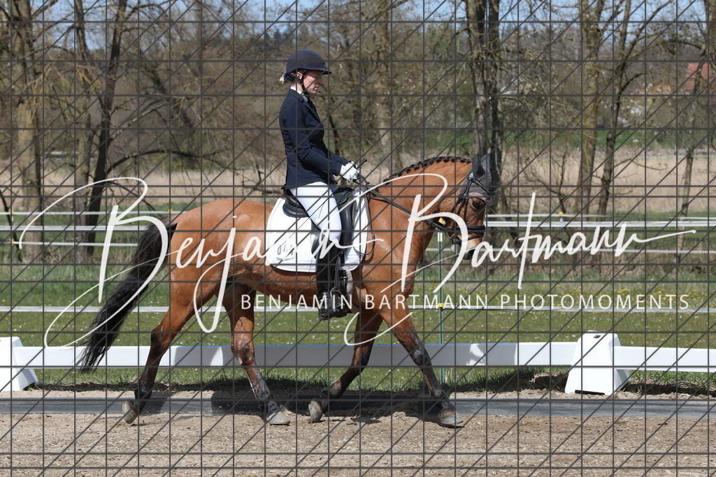 AZ2A3975 | Benjamin Bartmann Photomoments