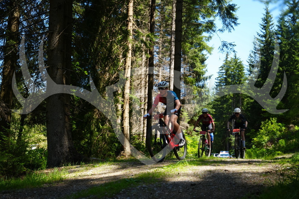 FC101718 | Fotogalerie der Treibjagd im Dunkelwald - Dein MTB Etappenrennen im Erzgebirge - Realisiert mit Pictrs.com
