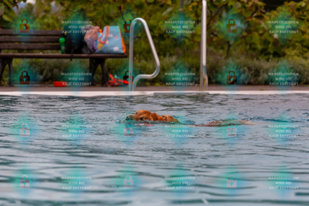 _HP_6099_1000o | HetPix, HetPix Fotodesign, Fotografie, Fotodesign, Webshop, Sportfotografie, Portraitfotografie, Onlineshop, Sportfotografie, Polch, Motorsportfotografie, Eventfotografie