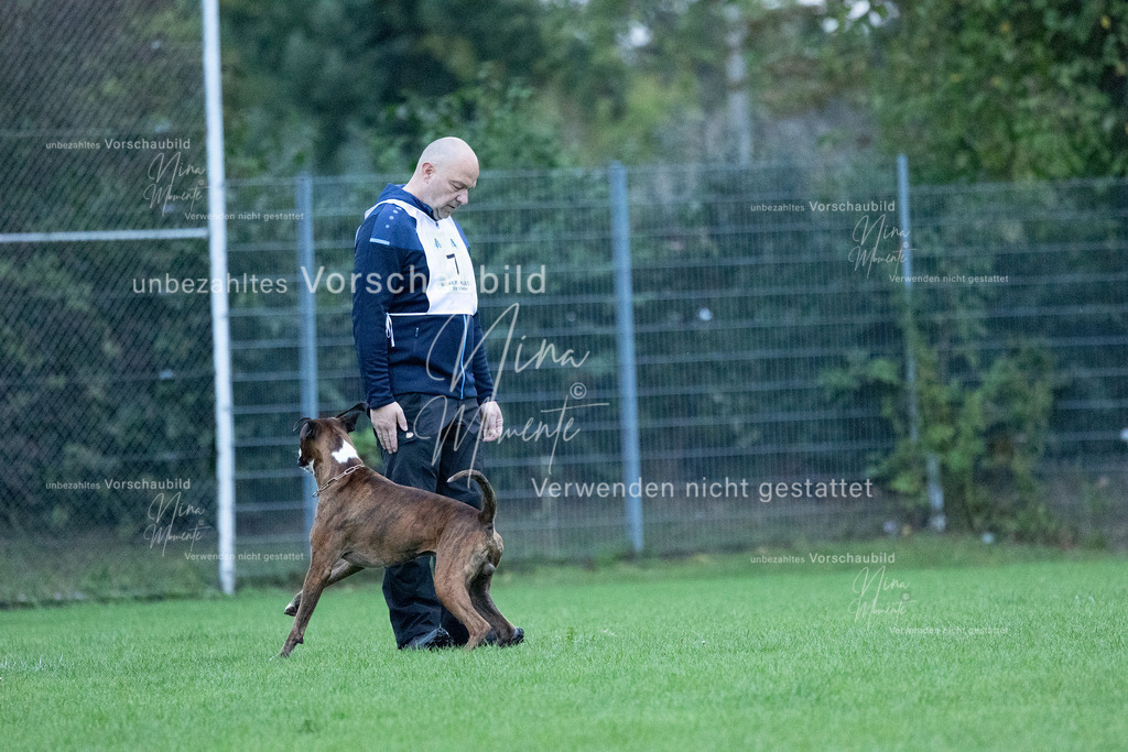 _16A4417 | Einzigartige Fotos von Hunden & Menschen –Actionfotos, Portraits, Vereinsaufnahmen & Paarshootings – authentisch, lebendig & mit Herz.