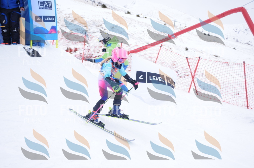 DSC_8113 | holidayphoto