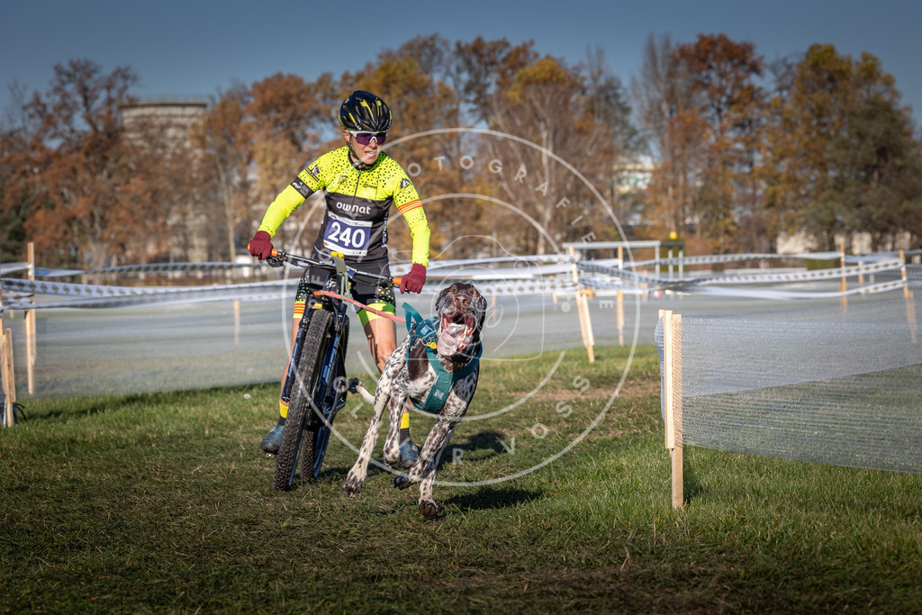 CaniXpix_0L8A4835 | Hundefotografie, Tierfotograf, Pfotenfotografie, Fotoshooting Hund, Hunde Portrait, Hundesport, Hundeportraits, Heideshooting, Hunde, Sportfotograf, Hundefotograf, Turnierhundsport, THS,  - Realisiert mit Pictrs.com