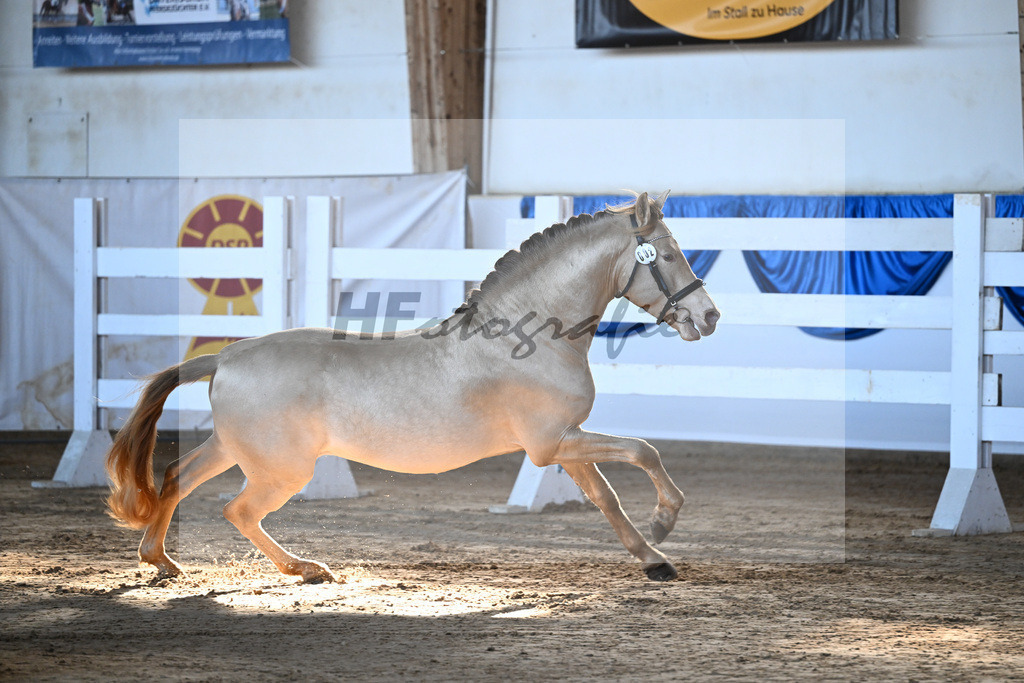 Kat-Nr. 2 Bonito Salazar v. Trianero PT_Abfalter GmbH _ Co. KG_9260038 | hf-fotografie - Realisiert mit Pictrs.com