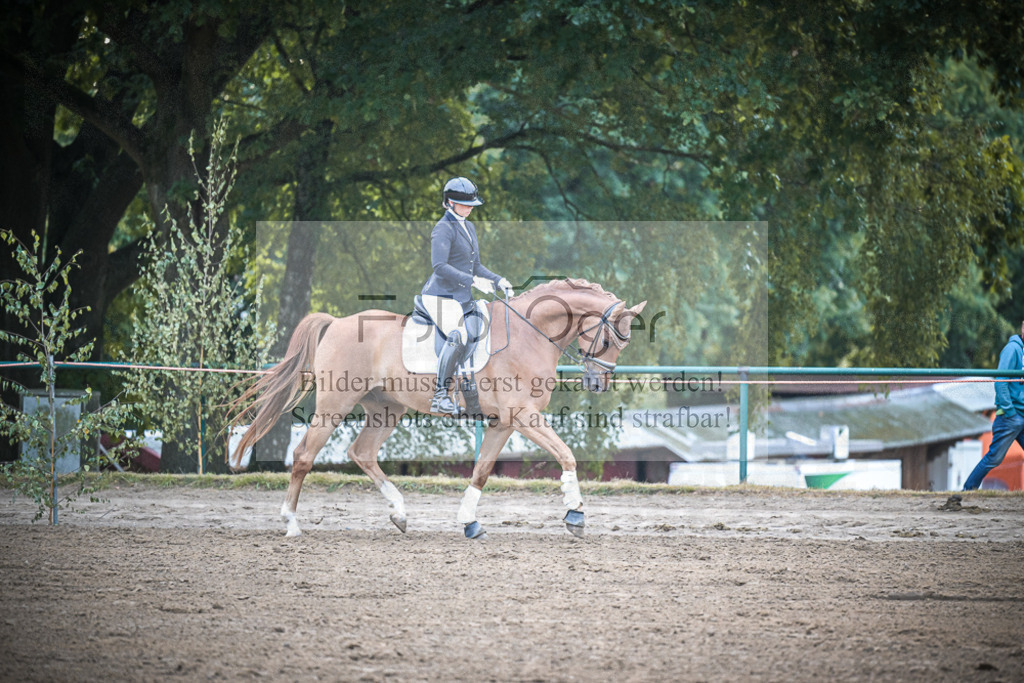 DOS_0062 | Entdecke hochwertige Reitturnierfotos von Foto Oger. Professionell, emotional und authentisch – jetzt Lieblingsmomente im Shop bestellen.Deutschlandweite Turnierfotografie. - Realisiert mit Pictrs.com