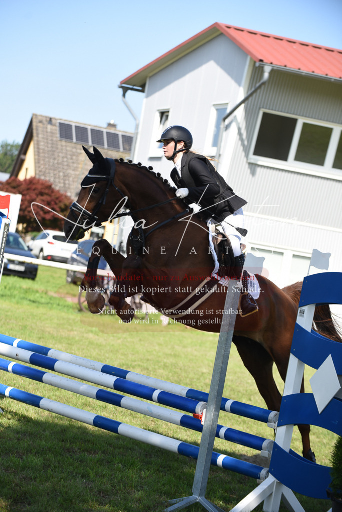 DSC_9174 | Pferde- und Turnierfotografie in Westsachsen. Pferdeportraits, Auftragszeichnungen und intuitive Kunst.
