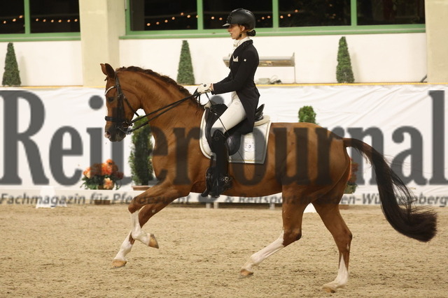 Gut Ising_2023_Prfg.Nr.03_Intermediaire II_Tatjana Burger_Quadrigo_s Donna Dream (24) | Alle Fotos der Reiterjournal Fotografin Doris Matthaes im Reiterjournal Online-Fotoshop. - Realizado com Pictrs.com