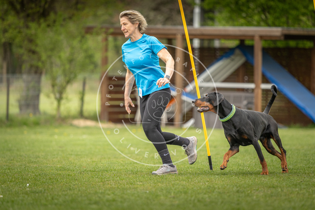 Pfotenfotografie_DV3A1767 | Hundefotografie, Tierfotograf, Pfotenfotografie, Fotoshooting Hund, Hunde Portrait, Hundesport, Hundeportraits, Heideshooting, Hunde, Sportfotograf, Hundefotograf, Turnierhundsport, THS,  - Realisiert mit Pictrs.com