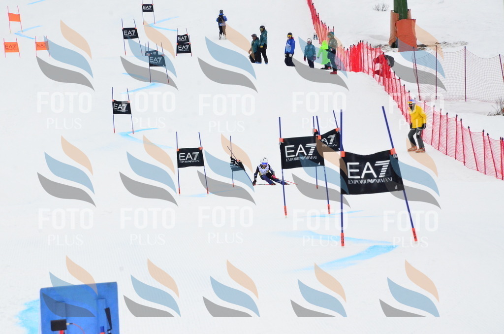 _ELE3988 | holidayphoto